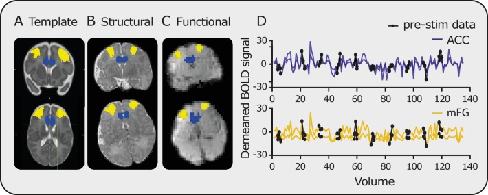 Figure 1—figure supplement 2.