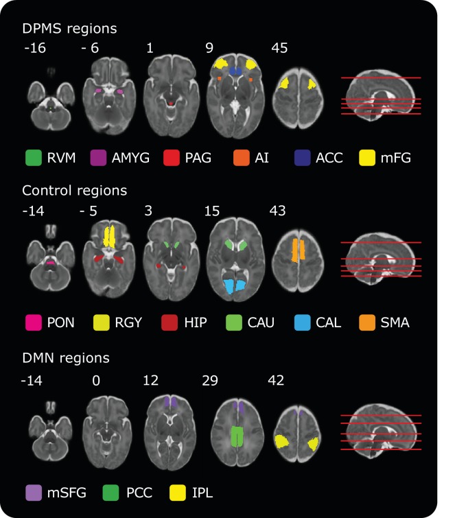 Figure 1—figure supplement 1.