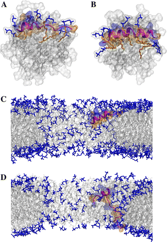 Fig. 4