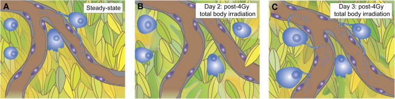 graphic file with name 161f1.jpg