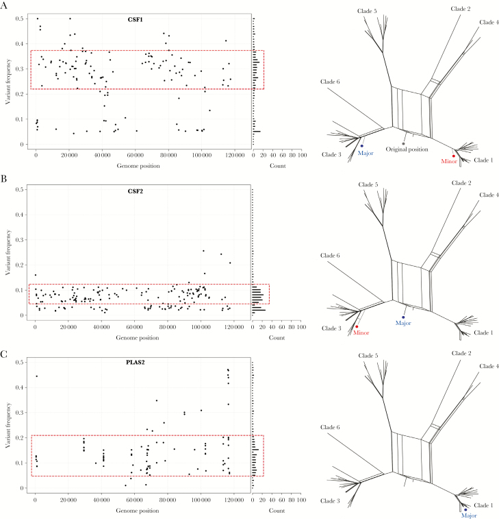 Figure 5.