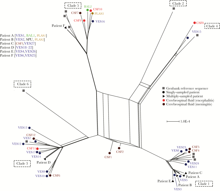 Figure 1.