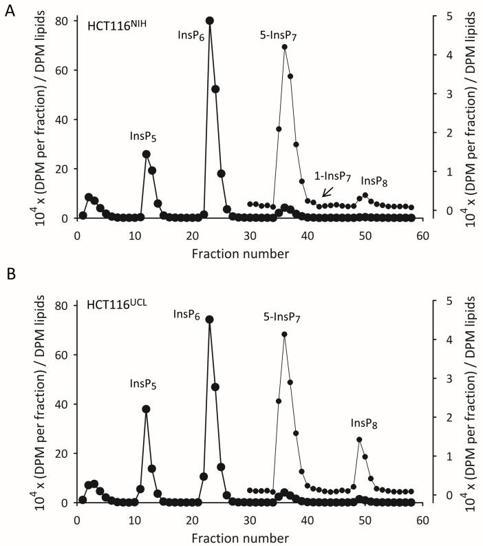 Fig 5