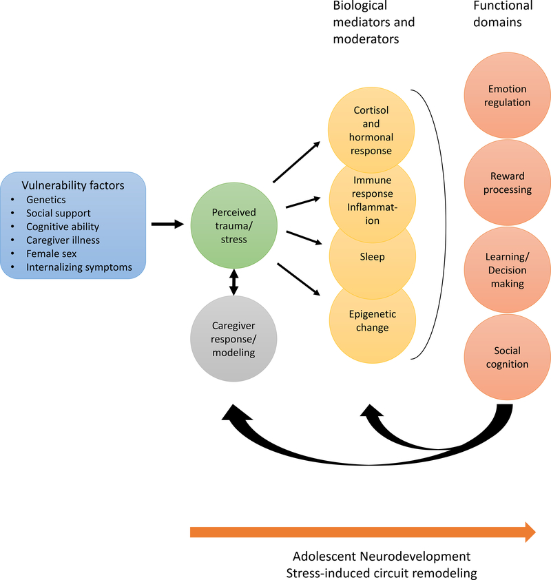 Figure 1 :