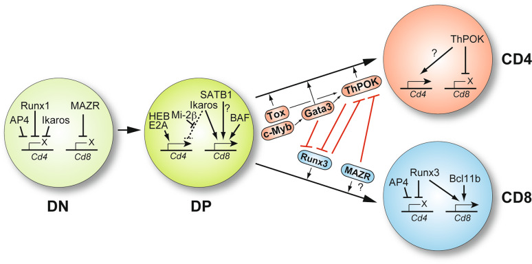 Fig. 4