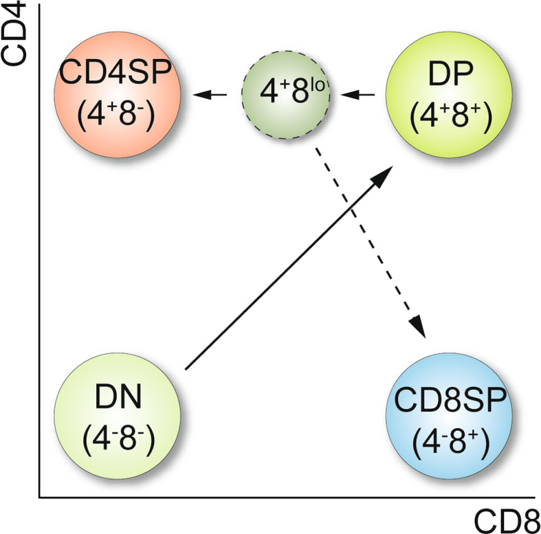 Fig. 1