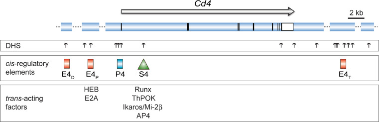 Fig. 2