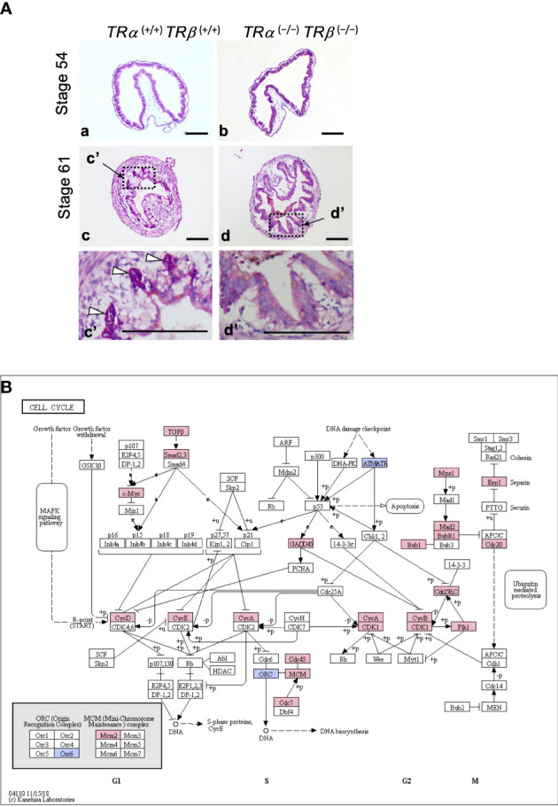 Figure 2