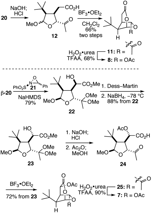 Scheme 3