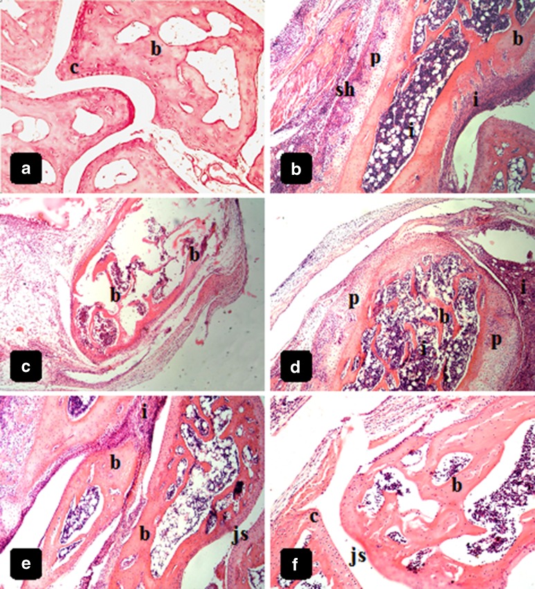 Fig. 7