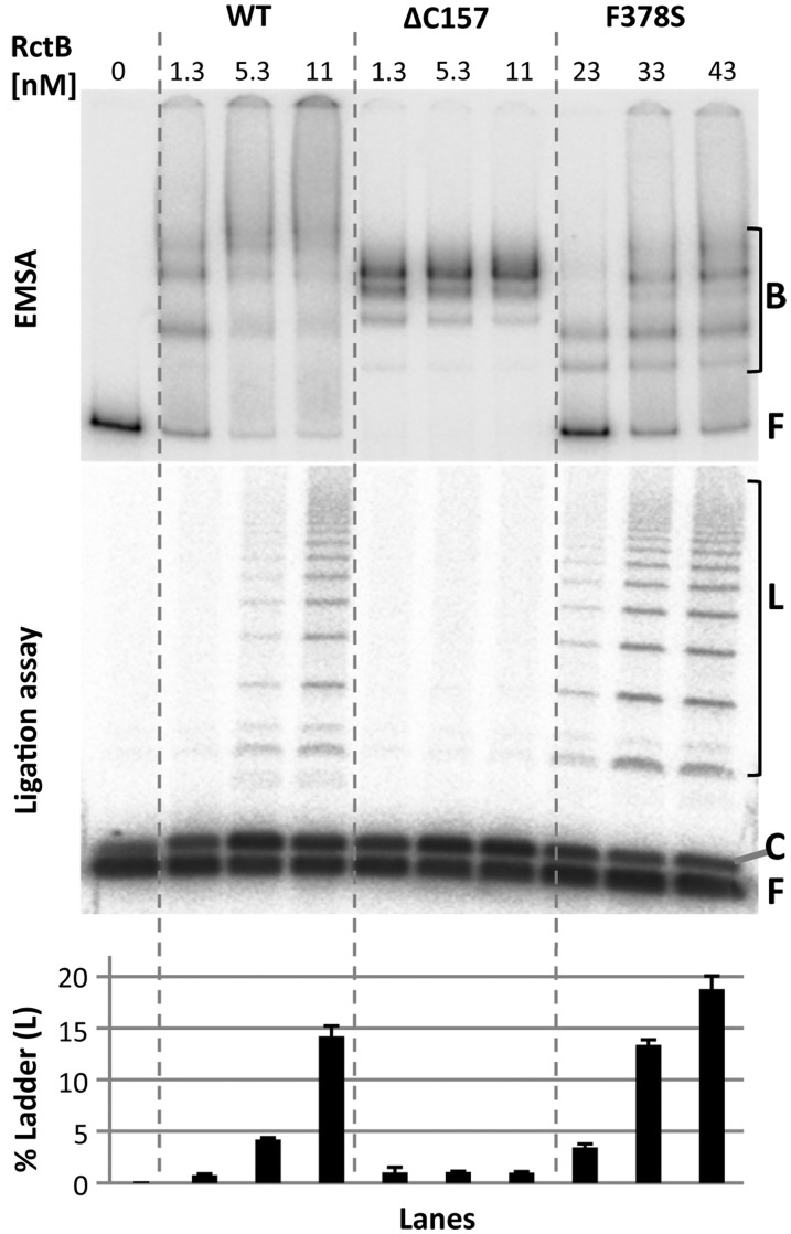 Figure 7.