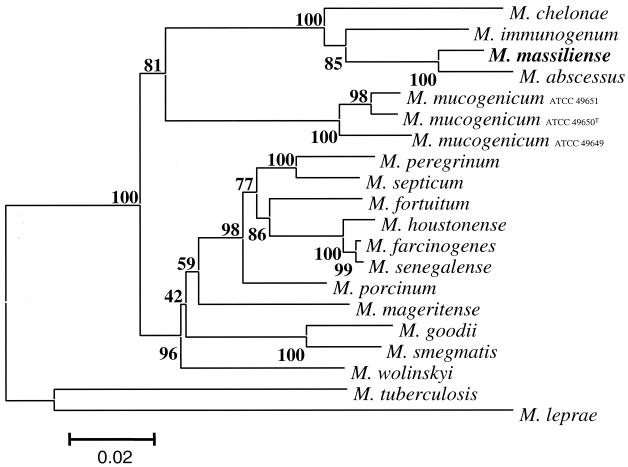 FIG. 3.