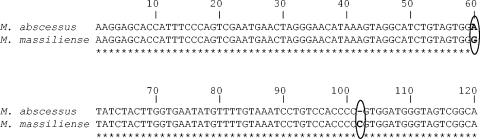 FIG. 2.