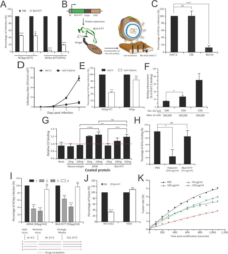 Fig 5