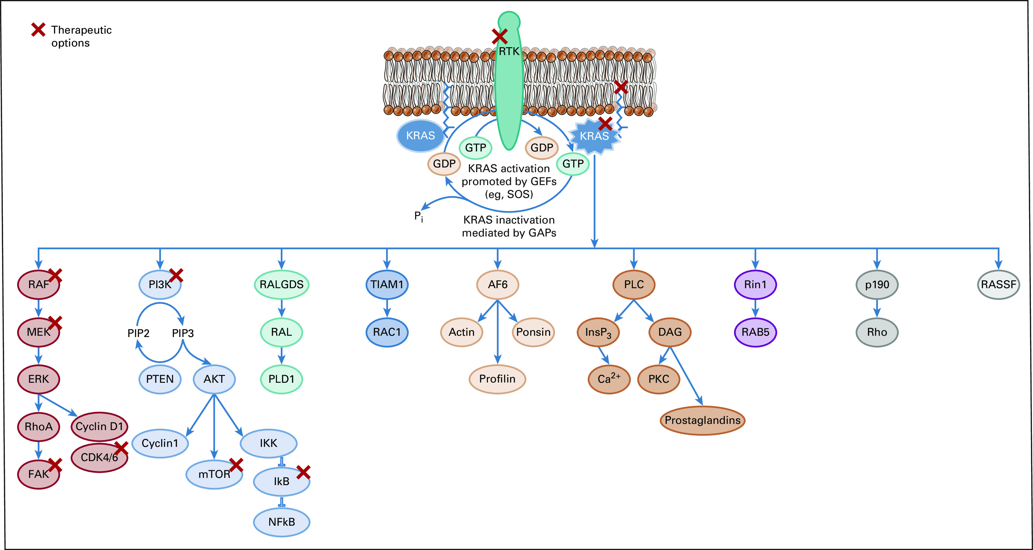 FIG 1.