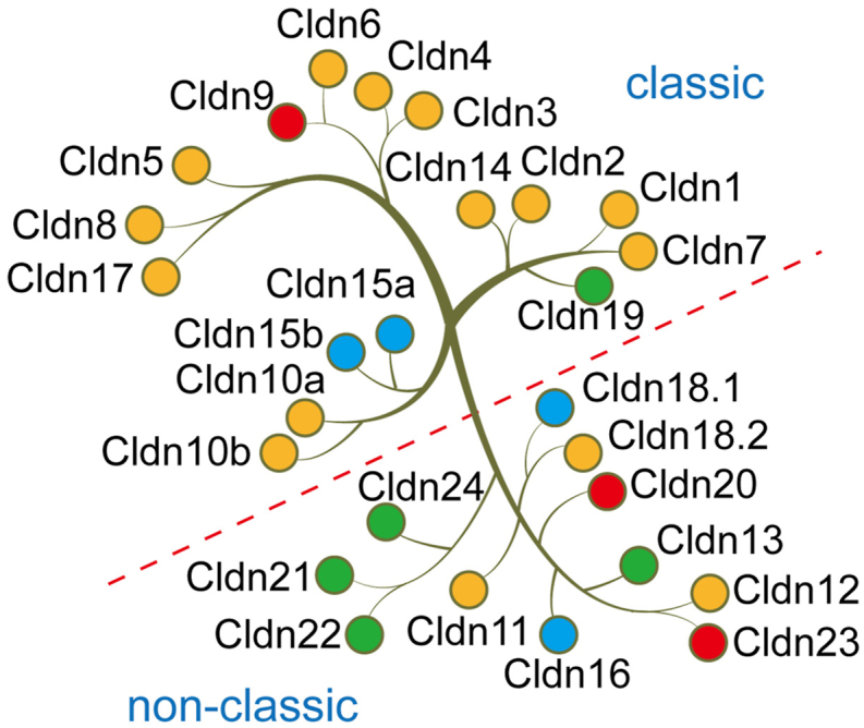 Fig. 2