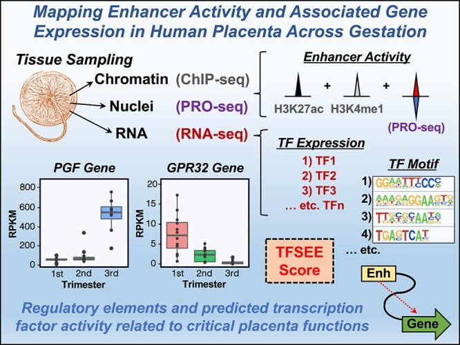 Graphical Abstract