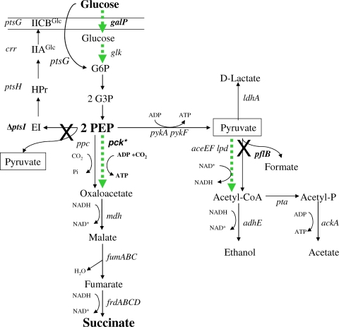 FIG. 1.