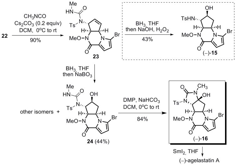 Scheme 10