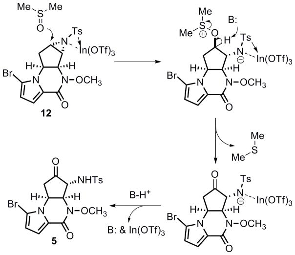 Scheme 5