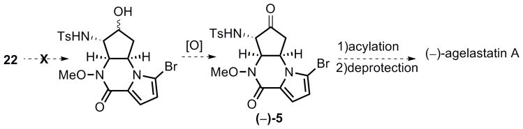 Scheme 9