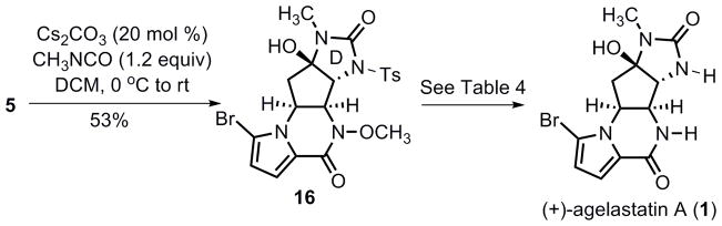 Scheme 6