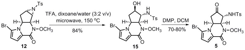 Scheme 4