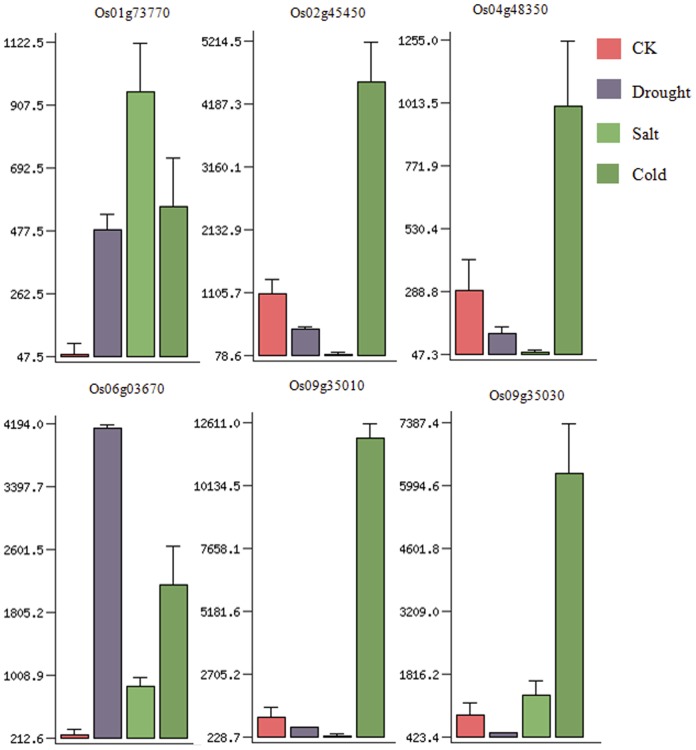 Figure 6