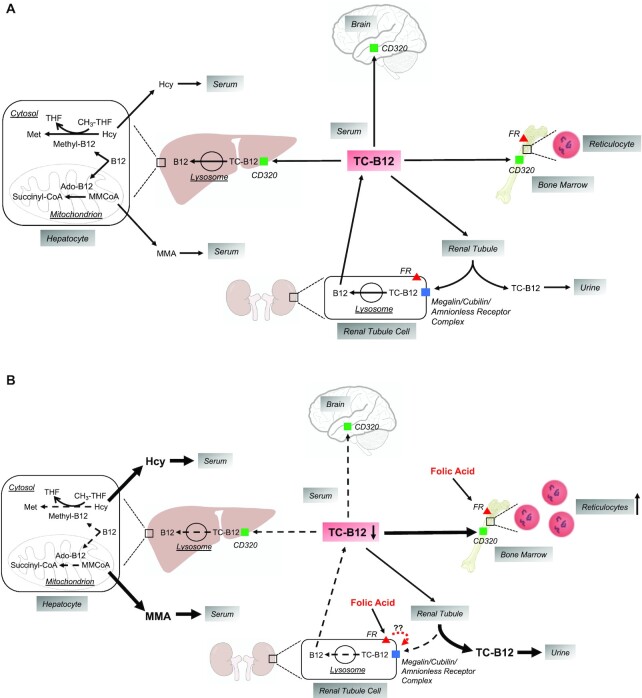 FIGURE 11