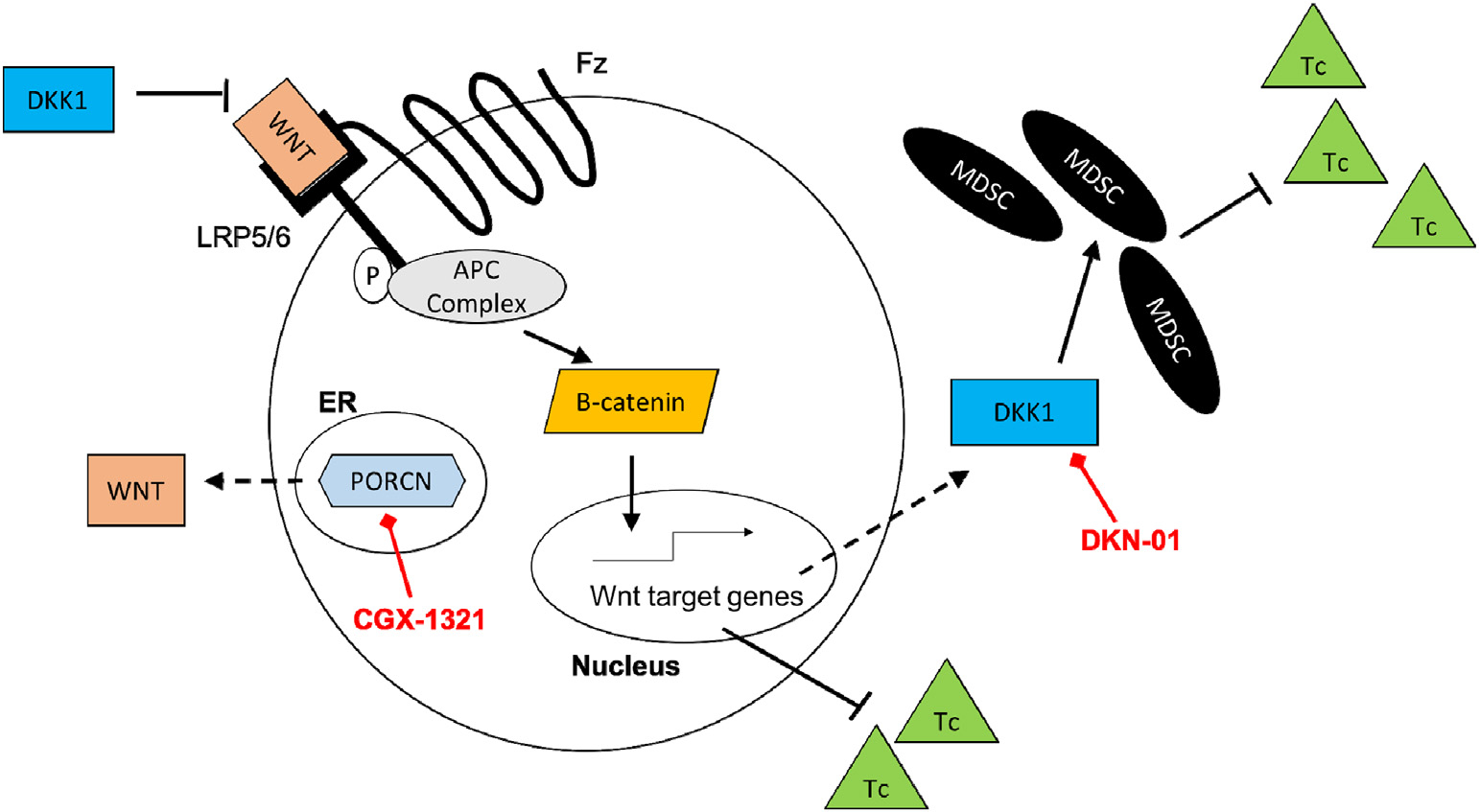 Fig. 6.