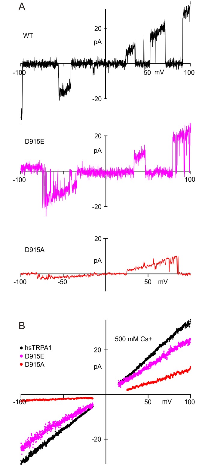 Fig 5