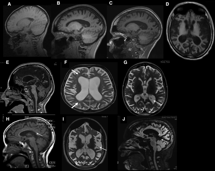 Figure 2