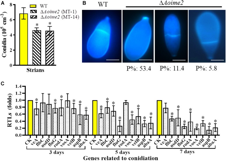 FIGURE 3