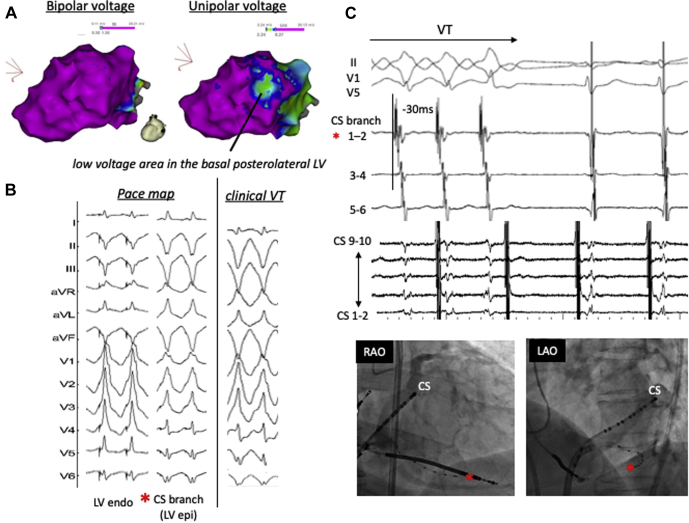 Figure 2