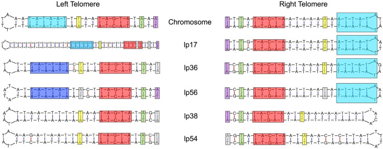 Figure 10.