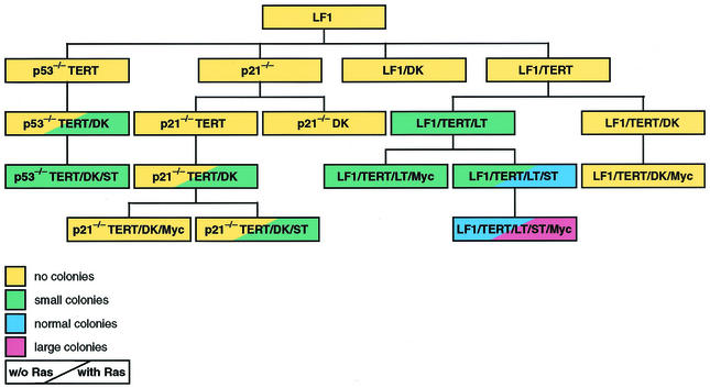 FIG. 1.