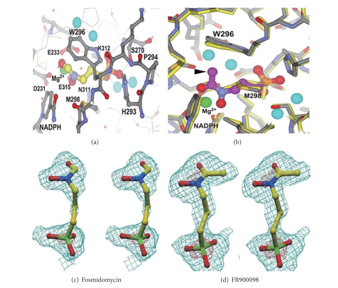 Figure 4