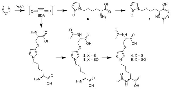 Scheme 1