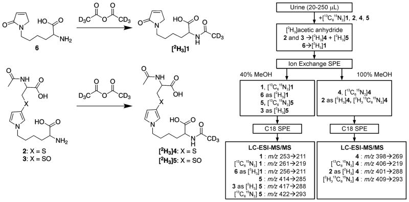 Scheme 2