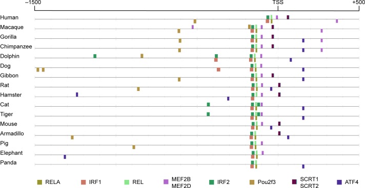 Fig 4