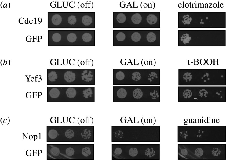 Figure 4. 