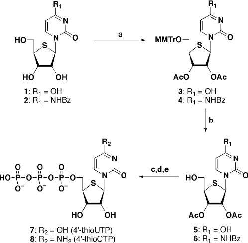 Scheme 1