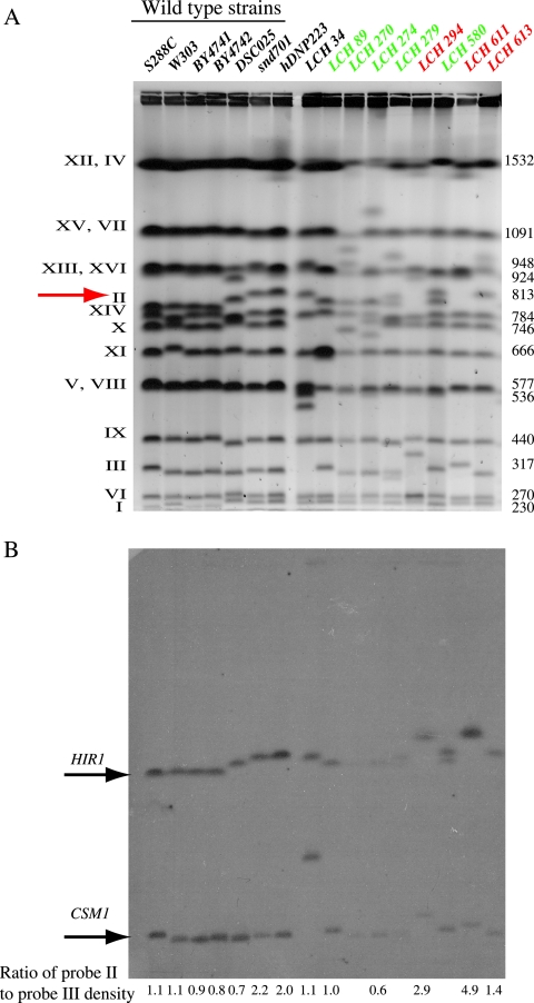 FIG. 6.