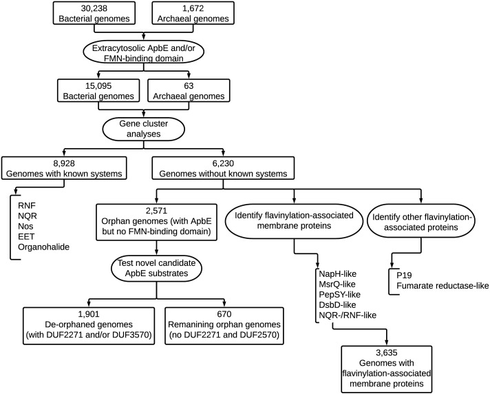 Figure 2—figure supplement 1.