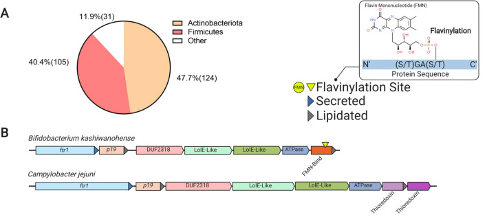 Figure 5—figure supplement 1.