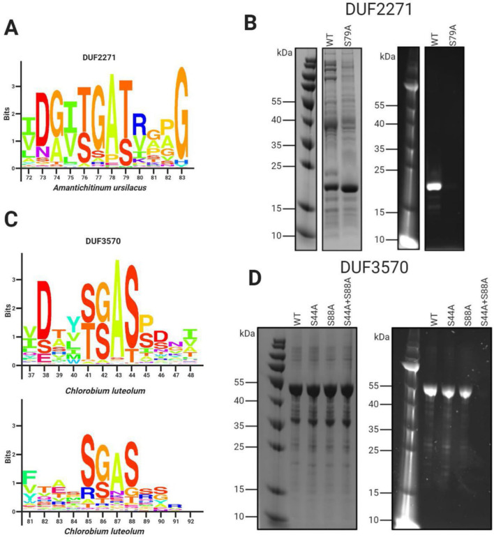 Figure 3.