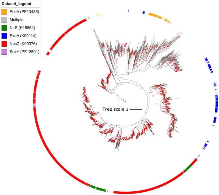 Figure 4—figure supplement 2.