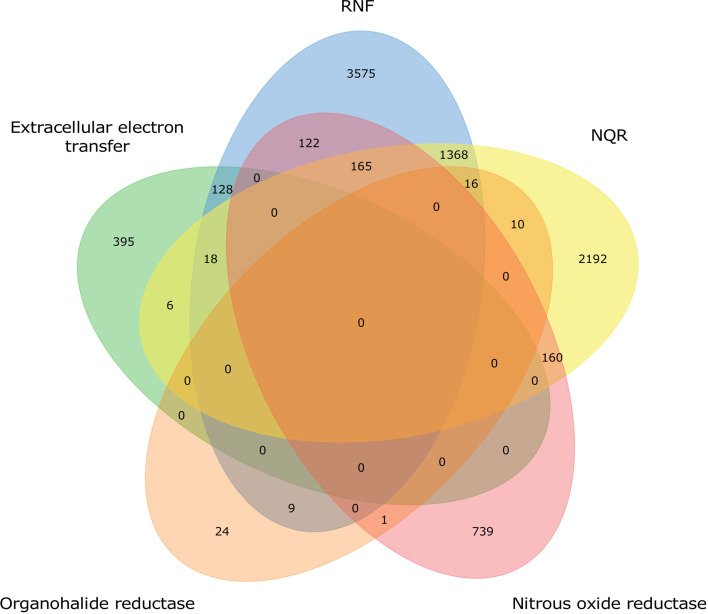 Figure 1—figure supplement 1.