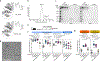 Extended Data Fig. 7 |