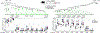 Extended Data Fig. 6 |
